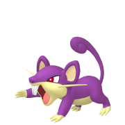 rattata 0 siyahı